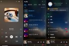 Audify音乐播放器11741高级版全新升级体验